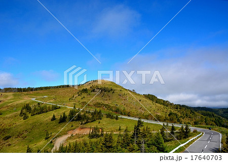 裏ビーナスライン (38) 17640703