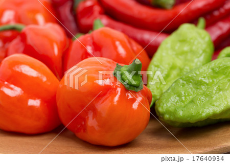 トウガラシ ハバネロ トウガラシ ハバネロ 17640934