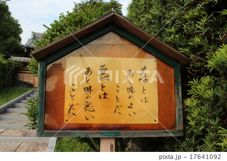 大樹寺 大樹寺 17641092