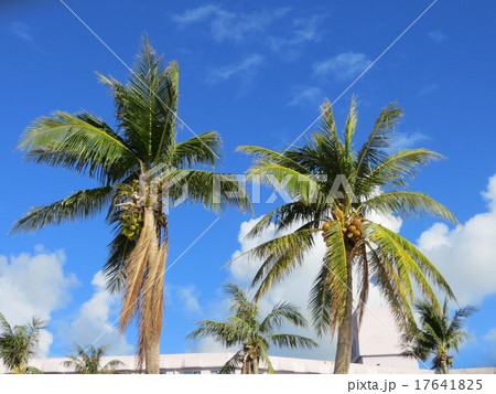 サイパン島海岸(1) サイパン島海岸(1) 17641825