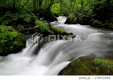 奥入瀬・激しくほとばしる阿修羅の流れ(1) 奥入瀬・激しくほとばしる阿修羅の流れ(1) 17642088