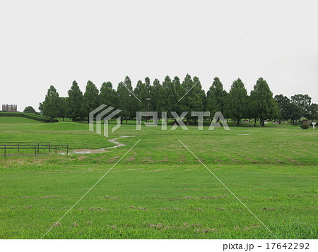 渡良瀬遊水地 17642292