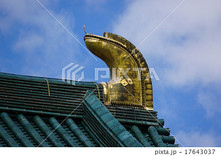 平安神宮、大極殿の大棟に輝く鴟尾（しび） 17643037