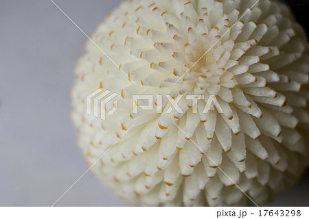 Canary Melon Carving Art 17643298