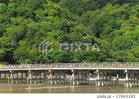 8月京都 嵐山渡月橋と緑 8月京都 嵐山渡月橋と緑 17643395