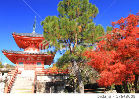 11月京都 旧嵯峨御所大覚寺門跡 心経宝塔と紅葉の写真素材