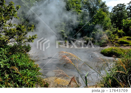 八幡平・後生掛ビジターセンター奥の泥火山（４） 17643709