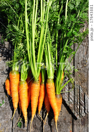 Ripe and fresh organic carrots Ripe and fresh organic carrots 17643881