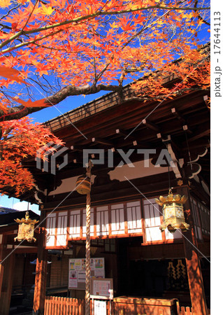 12月京都 車折神社拝殿と紅葉 17644113