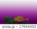 ネオンの魚 ネオンの魚 17644402