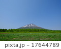 羊蹄山 17644789