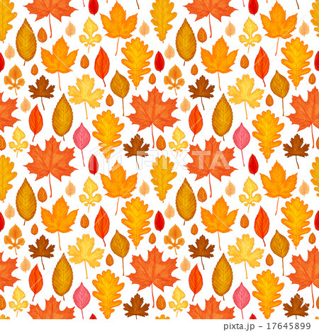 autumn leaves seamless 17645899