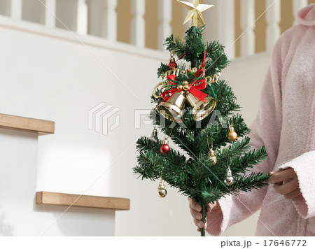 クリスマス. 17646772