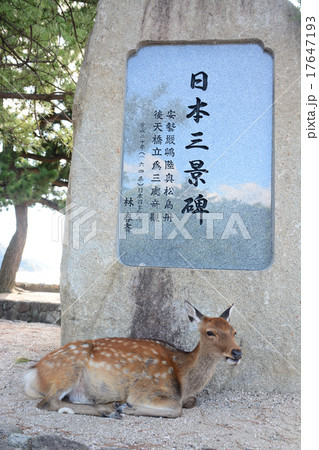 日本三景碑とシカ（宮島） 17647193