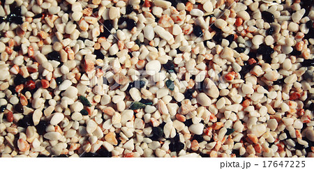 Texture of black and white pebbles. Closeup. Aged. 17647225