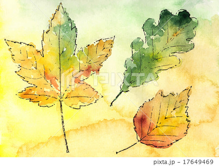 Hand drawn autumn leaves 17649469