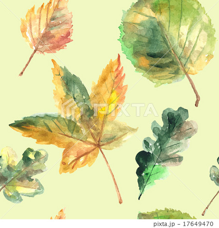 Hand drawn autumn leaves 17649470