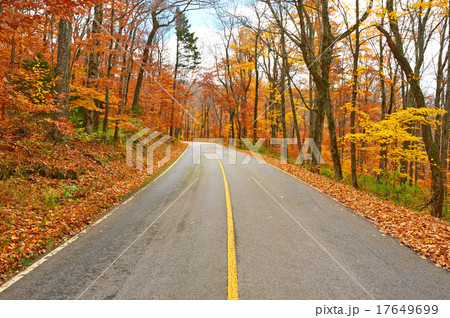 Autumn scene with road Autumn scene with road 17649699