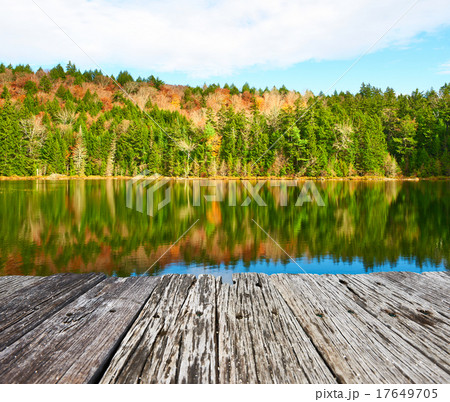 Pond in White Mountain National Forest 17649705
