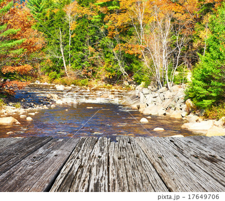 Swift River at autumn 17649706