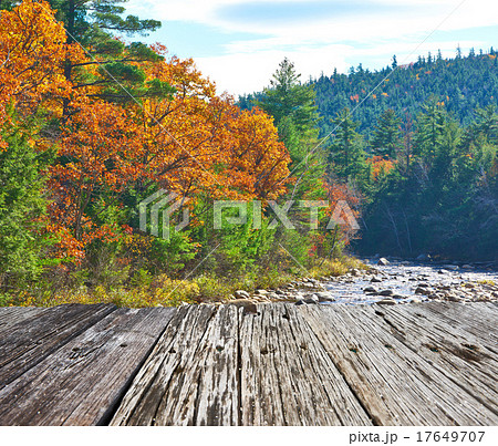 Swift River at autumn 17649707