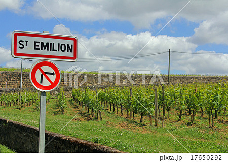 サンテミリオン　アキテーヌ　フランス 17650292
