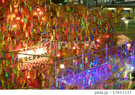 七夕祭り 17651137