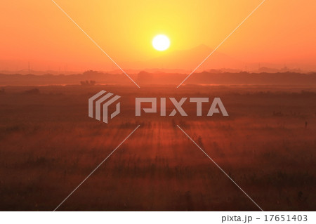 光りさす渡良瀬遊水地 光りさす渡良瀬遊水地 17651403