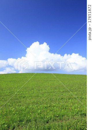 北海道　美瑛町　草原と入道雲 17651872