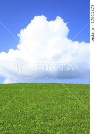 北海道　美瑛町　草原と入道雲 17651873