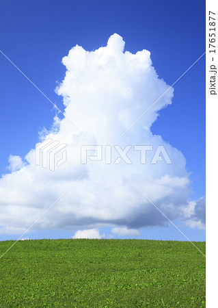 北海道　美瑛町　草原と入道雲 17651877