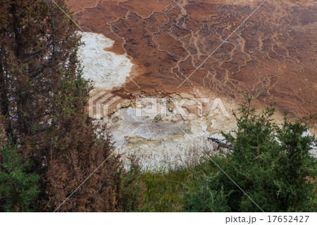 Mammoth Hot Springs. Yellowstone National Park 17652427