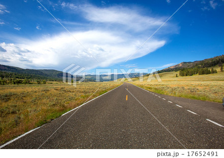 Road Along Yellowstone National Park Road Along Yellowstone National Park 17652491