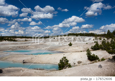Norris Geyser Basin, Yellowstone National Park Norris Geyser Basin, Yellowstone National Park 17652606