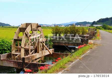 安並水車の里 安並水車の里 17653014