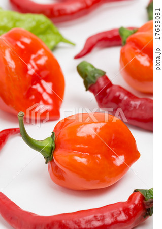 生のトウガラシ ハバネロ、ジョロキア、赤トウガラシ 生のトウガラシ ハバネロ、ジョロキア、赤トウガラシ 17653031