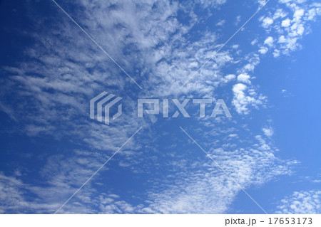 秋の空 17653173