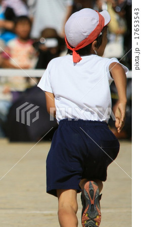 小学校の運動会 小学校の運動会 17653543