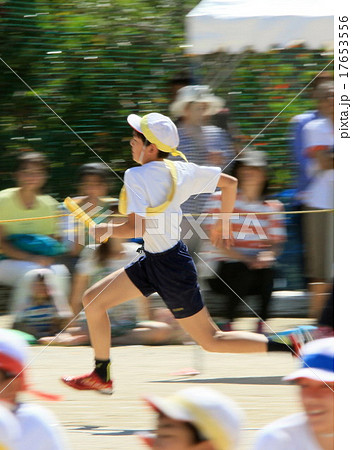 小学校の運動会 小学校の運動会 17653556