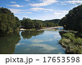 埼玉県日高市高麗川 17653598