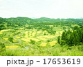 星峠の棚田 17653619