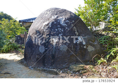 出羽島の蛇の枕 17653924