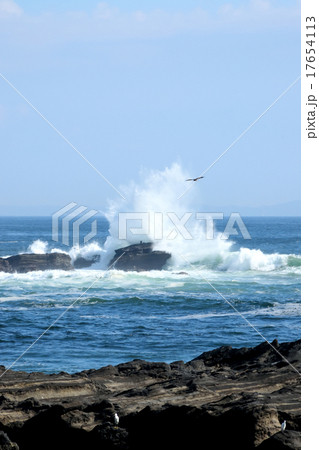 岩に砕ける波 17654113