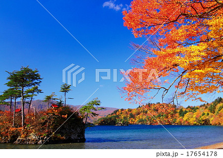 紅葉の十和田湖・休屋 17654178