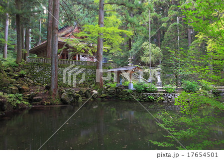光前寺　本堂 17654501