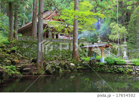 光前寺　本堂 17654502