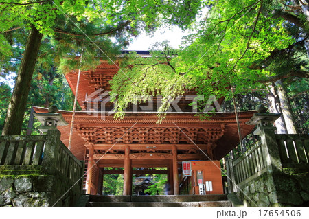 光前寺　三門 17654506