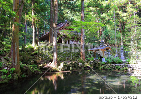 光前寺　本堂 17654512