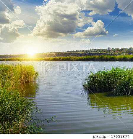 thickets of reeds on the lake and sun 17655374