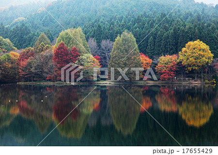 湖面に映る山々の紅葉 古賀志山 湖面に映る山々の紅葉 古賀志山 17655429